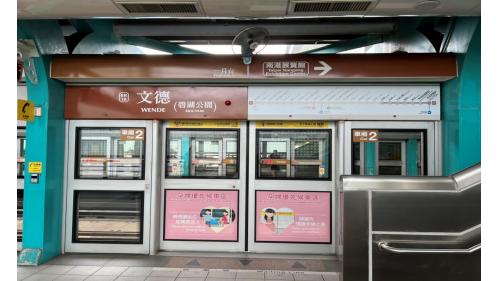 文德站副站名為碧湖公園，位於文德路上，於2009年7月通車啟用，車站附近有內湖高中，另於1號出口步行約10分鐘，可前往碧湖公園，為一座以湖為主的社區公園，湖光山色美不勝收。
&nbsp;