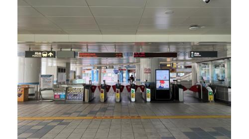 大湖公園站編號為BR20，車站位於成功路上，於2009年7月通車啟用，於出入口挑空區設有《風箏-悠遊天際》之公共藝術，附近設有大湖公園，榮登國外評選世界最美的公園之一，園區內湖光景色優美，為台北市最佳休憩景點。大湖公園站為高架三層車站，設有2處出入口，三樓為大廳層及月台層，四樓為天橋層，大湖公園站設有側式月台兩座及全高式月台門。