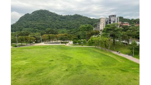 大湖公園站編號為BR20，車站位於成功路上，於2009年7月通車啟用，於出入口挑空區設有《風箏-悠遊天際》之公共藝術，附近設有大湖公園，榮登國外評選世界最美的公園之一，園區內湖光景色優美，為台北市最佳休憩景點。大湖公園站為高架三層車站，設有2處出入口，三樓為大廳層及月台層，四樓為天橋層，大湖公園站設有側式月台兩座及全高式月台門。【圖/大湖公園】