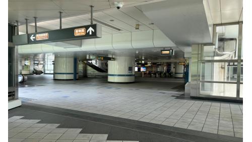 東湖站位於在康寧路三段路上，於2009年7月通車啟用。車站為高架三層車站，共設有3處出入口，二樓為大廳層，三樓為月台層，為兩座側式月台，在一樓牆面設有《湖波盪漾》之公共藝術。