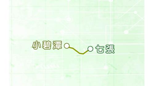 小碧潭支線為新店線之支線，原為新店線七張站分歧的新店機廠維修軌道，於2001年配合機廠聯合開發，於2004年9月29日正式通車，成為新店線的支線，該支線為十四張地區居民帶來便利的交通。小碧潭支線全線採用高運量系統，惟其月台長度僅能容納三輛車營運。小碧潭支線全長約1.9公里，共設2座車站，其路段包含高架段及地下段。
&nbsp;