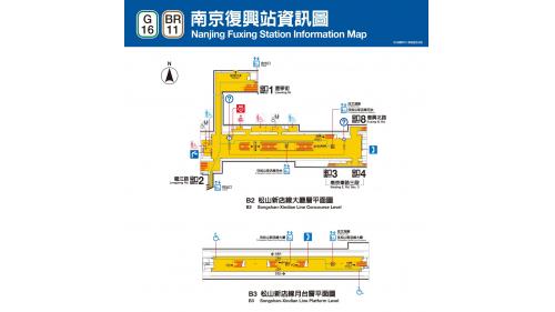 南京復興為一高架與地下交會車站，共設有8處出入口，地上四層與地下三層共七層，地下一樓為穿堂層及轉乘通道層;地下二樓為松山新店線大廳層;地下三樓為松山新店線月台層，設有島式月台及全高式月台門;地上三樓為文湖線大廳層及月台層，設有兩座側式月台及全高式月台門；地上四樓為文湖線天橋層，設有月台聯絡天橋供旅客選擇搭乘方向。
&nbsp;