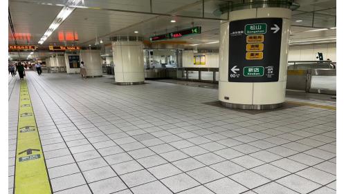 &nbsp;松江南京站為地下四層車站，設有8處出入口，地下一樓為大廳層，設有車站大廳、詢問處、自動售票機、驗票閘門、洗手間。