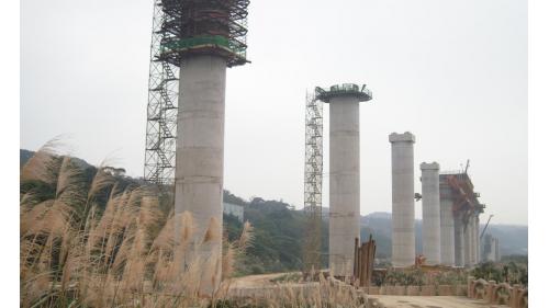 高架橋採用兩種標準箱型梁式，一種是單軌單箱全跨預鑄箱型橋梁，多用於繁忙的交通幹道上，施工時採夜間道路運送吊裝施工。另一種為雙軌單箱梁，多用於郊區路段，採支撐先進工法施工。【圖/墩柱完成】