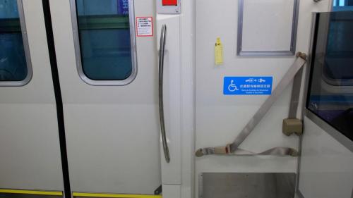 將列車分為直達車及普通車，直達車為紫色車身，為服務大部分航空旅客而設計，共五節車廂，第五節為行李車廂，為搭載在台北車站預辦登機乘客的行李，便利搭機旅客提前完成登機準備，由自動輸送系統，將行李送上直達車行李車廂，送至第二航廈，該車廂共可容納13個行李櫃，【圖/電聯車廂內-殘障專用座位區】