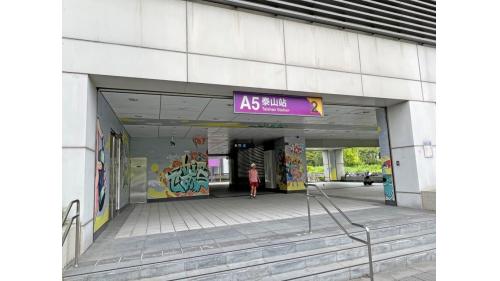 泰山站為地上五層車站，設有4處出入口，四樓為大廳層，五樓為月台層，設有兩座側式月台及半高式月台門，本站僅停靠普通車。【圖/出口2，新北大道四段431號】