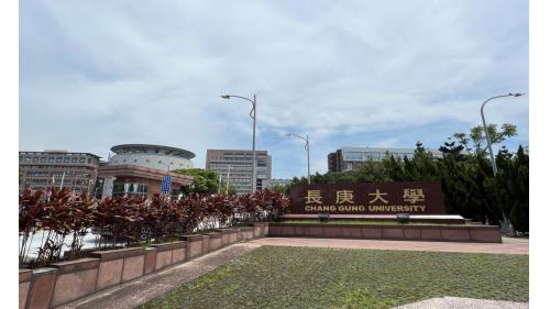 體育大學站編號為A7，副站名為龜山樂善，站體位於文化路一段上，於2017年3月啟用，因避免整體路線爬升及降坡差異過大，因此此站為地下車站。車站附近有國立體育大學、長庚大學。