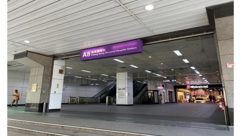 長庚醫院站編號為A8，站體位於文化一路，於2017年3月啟用，為直達車追越站，為地上三層車站，設有一處出入口，二樓為大廳層，三樓為月台層，設有兩座島式月台及半高式月台門。
&nbsp;