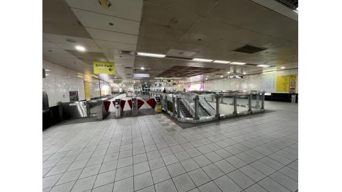 &nbsp;草衙站為地下二層車站，設有4處出入口，地下一樓為大廳層，設有公共藝術『草衙聚焦』，地下二樓為月台層，設有一座島式月台及全高式月台門。【圖/車站大廳】