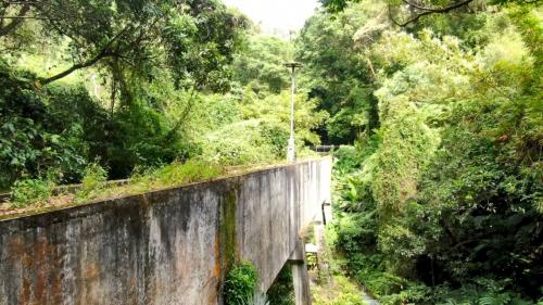 官設埤圳工程中的水橋有5段共長200公尺。
