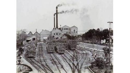 於1913 年2月25日於卑南街創立，並開始製造赤糖，當時僱用有經驗的本島移民從事甘蔗種植，引進大莖蔗種，並不斷擴大蔗作經營面積，