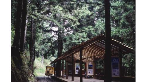 2003年完工，步道長1.6公里，海拔高1,870公尺，現在的茂興懷舊步道就是日治時期山地運材的茂興線。