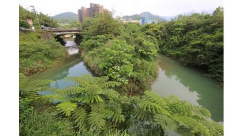 &nbsp;東勢溪(左)及西勢溪(右) 匯流處