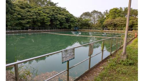 &nbsp;沉澱池可將較大顆粒的雜質進行沉澱作業。