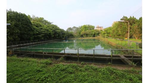 &nbsp;沉澱池可將較大顆粒的雜質進行沉澱作業。