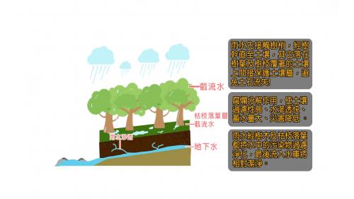 &nbsp;水源涵養林主要作用為水土保持及改善水質。