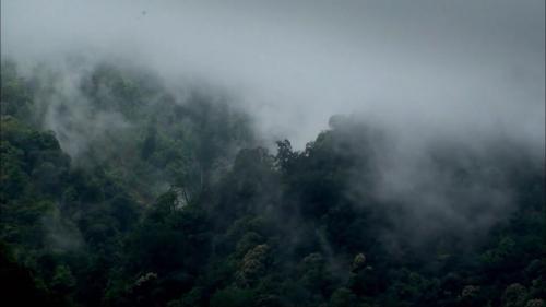 &nbsp;大甲溪發源於中央山脈，流量豐沛、水質清澈，上游地勢陡峻山高谷深，自上而下設有德基、青山、谷關、天輪（包括新天輪）、馬鞍及社寮等六座電廠。及德基水庫、青山壩、谷關壩、天輪壩與馬鞍壩等五座水壩。