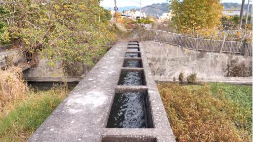 葫蘆墩圳改道經南幹渠自石岡壩取水，在萬定汴分流，一條分流匯入葫蘆墩圳幹線，另一條分流往下溪洲圳。萬定汴在當地又被稱為「三分水」或「人命水」，因為1768年(乾隆三十三年)四月，東西兩上堡為水爭執，西上堡有3人死亡，所以當地人稱此地為「人命水」。