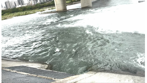 本體為混泥土柱半透水堰，取水方式為溢流堰頂管柵式後方取水。這種堰體及取水方式非常罕見，全國僅此一座。