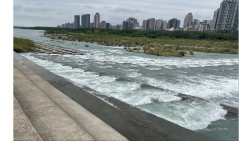 隆恩堰取水堰旁之魚梯口，是讓魚回游到上方。